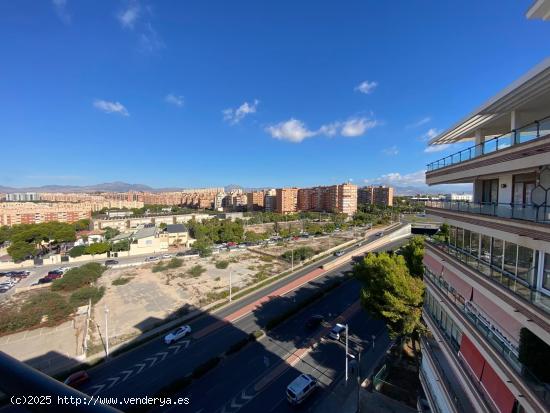 Excelente piso en Vistahermosa - ALICANTE