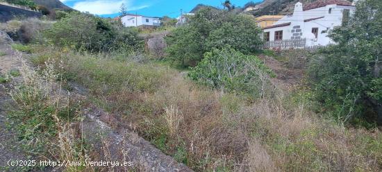 ¡Terreno en venta en Camino el Roque,  TEGUESTE¡ - SANTA CRUZ DE TENERIFE