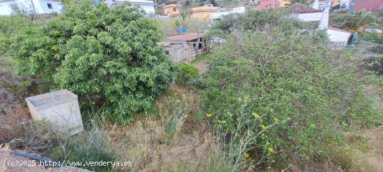 ¡Terreno en venta en Camino el Roque,  TEGUESTE¡ - SANTA CRUZ DE TENERIFE