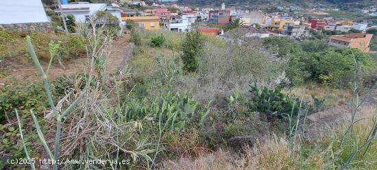 ¡Terreno en venta en Camino el Roque,  TEGUESTE¡ - SANTA CRUZ DE TENERIFE