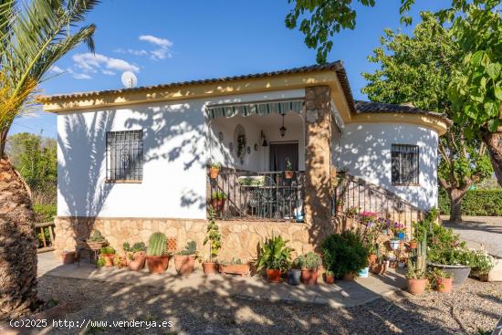 Se Vende en Guadix - GRANADA