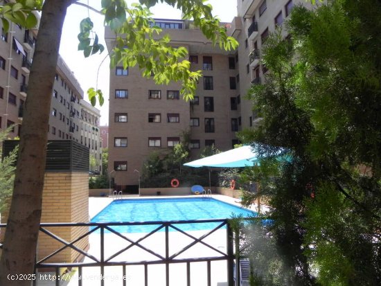  Apartamento en Alquiler en Madrid Madrid ARGANZUELA 