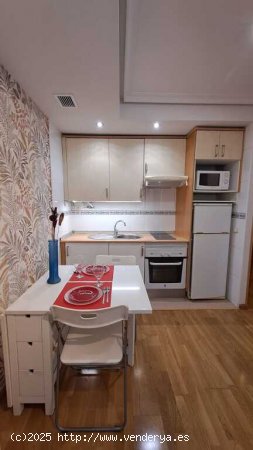 Apartamento en Alquiler en Madrid Madrid ARGANZUELA