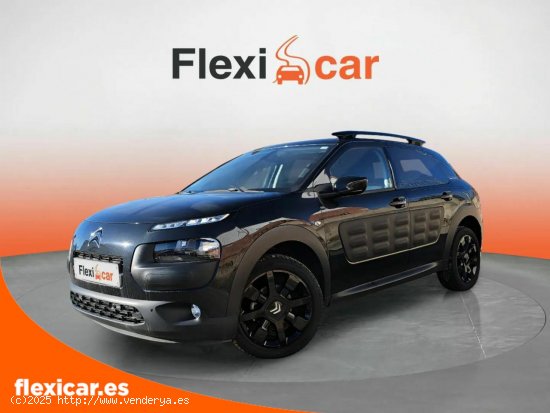 Citroën C4 Cactus PureTech 81KW (110CV) S&S EAT6 Shine - Segovia