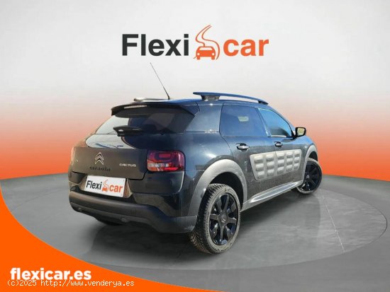 Citroën C4 Cactus PureTech 81KW (110CV) S&S EAT6 Shine - Segovia