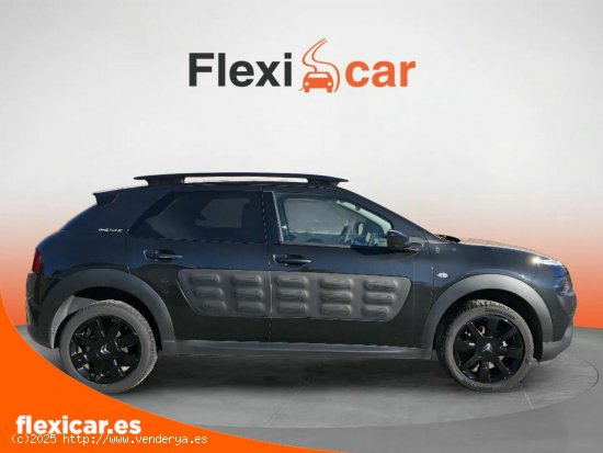 Citroën C4 Cactus PureTech 81KW (110CV) S&S EAT6 Shine - Segovia