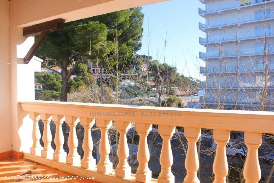 Piso a escasos metros de la playa en Canyamel