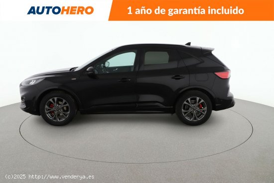 Ford Kuga 1.5 TDCi EcoBlue ST-Line - 