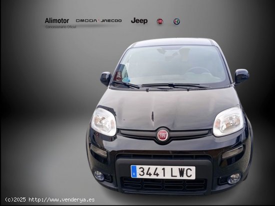 Fiat Panda SPORT MY21 HYBRID 1.0 GSE 51KW (70CV) - Alicante