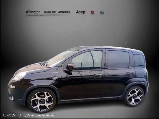 Fiat Panda SPORT MY21 HYBRID 1.0 GSE 51KW (70CV) - Alicante