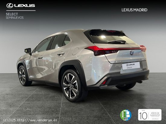 Lexus UX 2.0 250h Luxury - Madrid