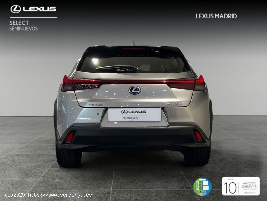 Lexus UX 2.0 250h Luxury - Madrid