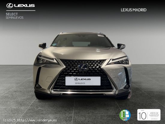 Lexus UX 2.0 250h Luxury - Madrid