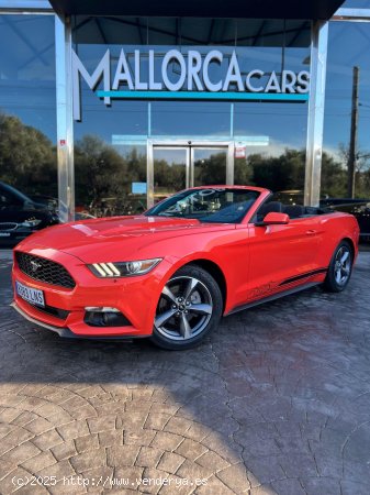 Ford Mustang 3.7 TI-VCTV 305 CV AUTOMATICO - Palma