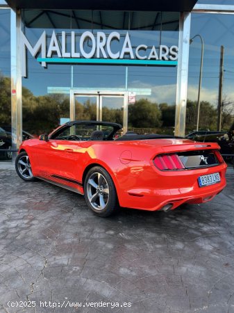 Ford Mustang 3.7 TI-VCTV 305 CV AUTOMATICO - Palma