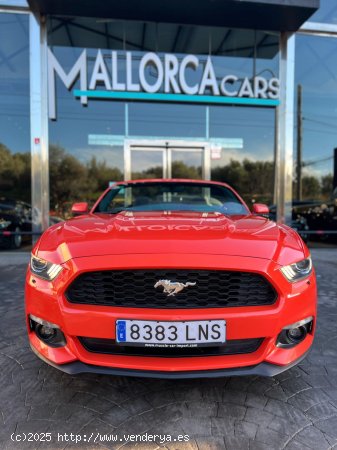 Ford Mustang 3.7 TI-VCTV 305 CV AUTOMATICO - Palma