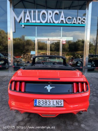 Ford Mustang 3.7 TI-VCTV 305 CV AUTOMATICO - Palma