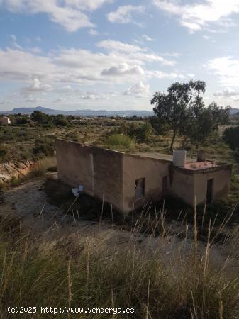 SE VENDE PARCELA RÚSTICA EN NOVELDA ZONA HORNA BAJA (ALICANTE) - ALICANTE