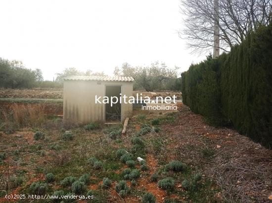  TERRENO A LA VENTA EN AIELO DE MALFERIT CON CASITA DE APEROS - VALENCIA 