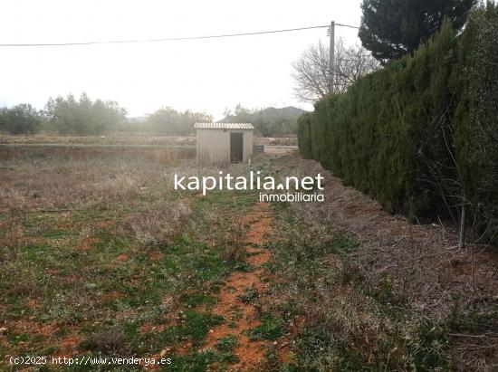 TERRENO A LA VENTA EN AIELO DE MALFERIT CON CASITA DE APEROS - VALENCIA