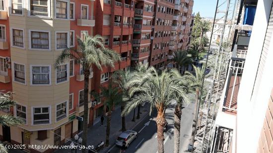 ESTUPENDO PISO EN EL CENTRO MERCADO - ALICANTE