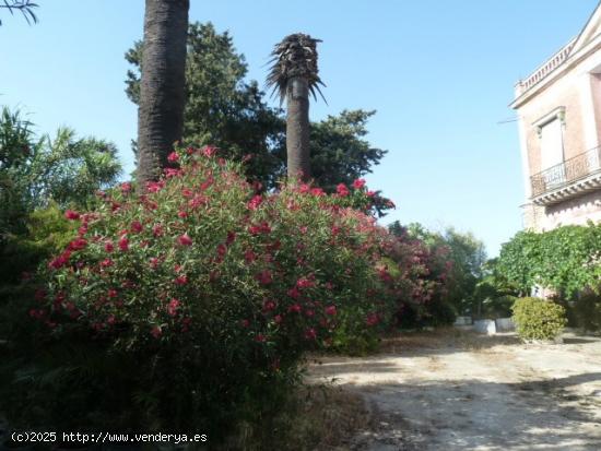 Se Vende en Sanlucar de Barrameda - CADIZ