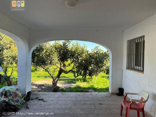 CASA DE CAMPO Y TERRENO - ALICANTE