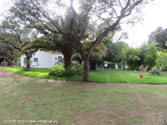  ENCANTADORA PARCELA CON CASA EN TRES ARROYOS, BADAJOZ - BADAJOZ 