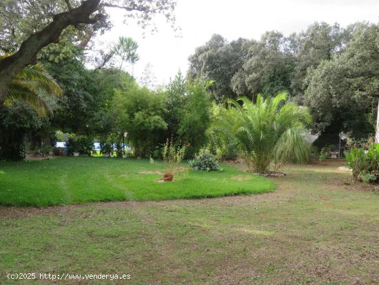 ENCANTADORA PARCELA CON CASA EN TRES ARROYOS, BADAJOZ - BADAJOZ