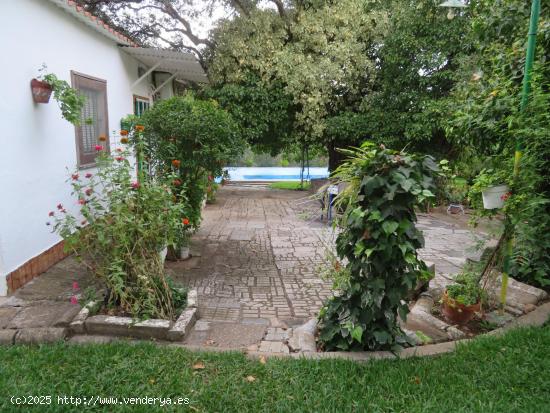 ENCANTADORA PARCELA CON CASA EN TRES ARROYOS, BADAJOZ - BADAJOZ