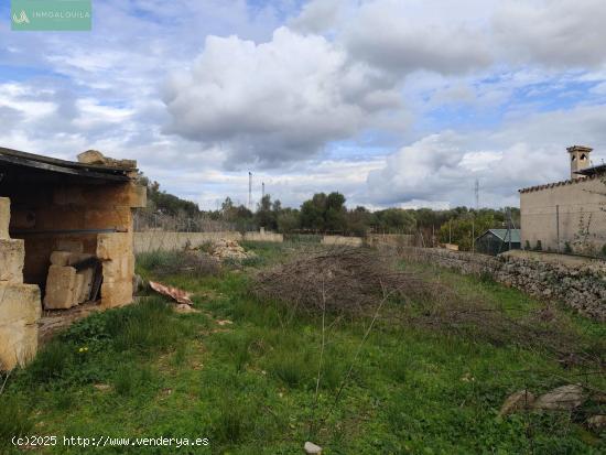  Solar Urbano en Ariany - BALEARES 