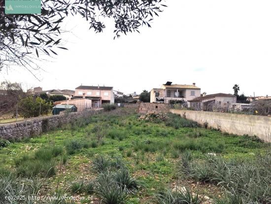 Solar Urbano en Ariany - BALEARES