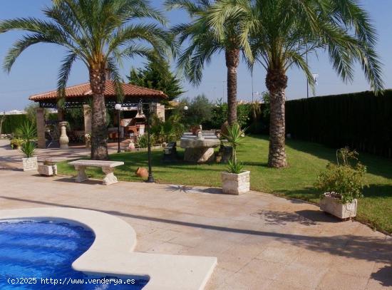 PRECIOSA FINCA DE 2800M2 DE TERRENO - ALICANTE