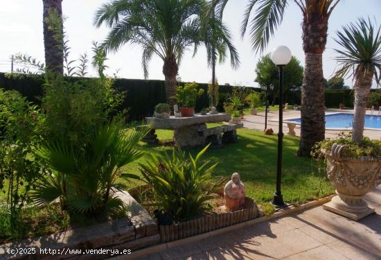 PRECIOSA FINCA DE 2800M2 DE TERRENO - ALICANTE