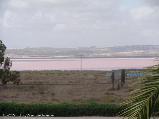 CHALET DE LUJO EN URBANIZACIÓN SAN LUIS - TORREVIEJA - ALICANTE