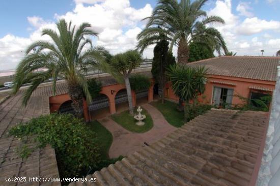 CHALET DE LUJO EN URBANIZACIÓN SAN LUIS - TORREVIEJA - ALICANTE