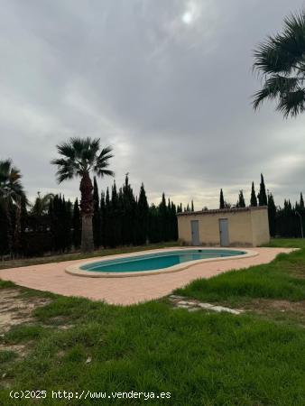 CHALET EN ALQUILER EN MATOLA - ALICANTE