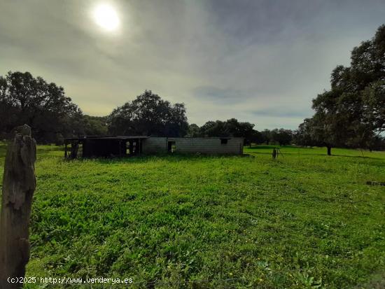 Finca 40.000 m2 con charca que mana y una construcción en Rincón de Ballesteros - CACERES