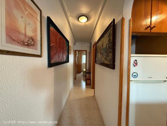 Amplio Piso de un dormitorio  , con orientacion sur - ALICANTE