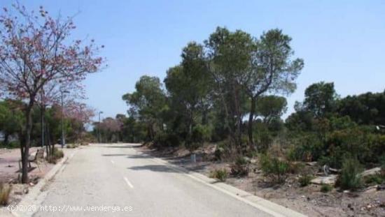  Se Vende en Almenara - CASTELLON 