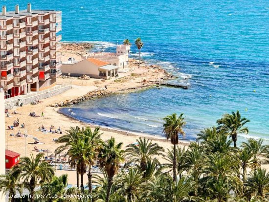 Apartamento en venta en Torrevieja (Alicante)