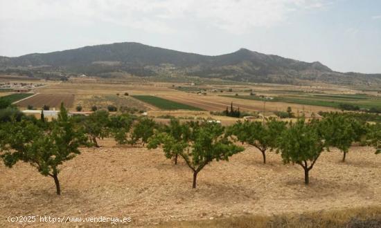  Se Vende en Elche pedanias - ALICANTE 