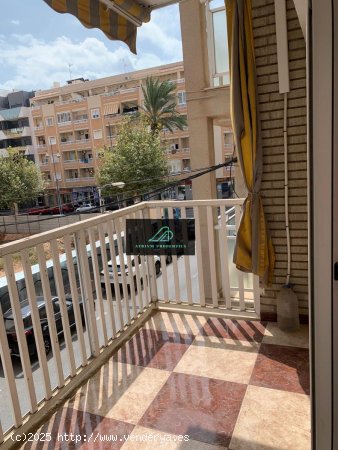  Apartamento en alquiler en Torrevieja (Alicante) 