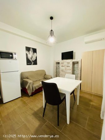 Estudio en alquiler en Granada (Granada)