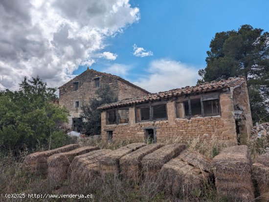  Finca en venta en Cretas (Teruel) 