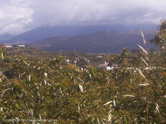 Finca en venta en Vélez-Málaga (Málaga)