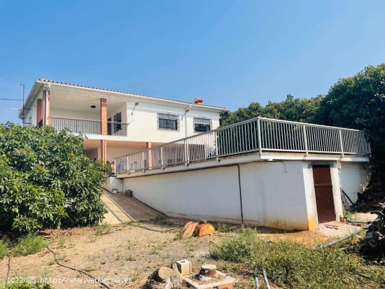 Finca en venta en Almayate (Málaga)