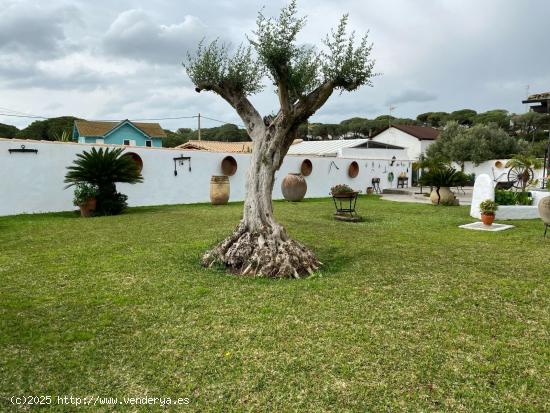 MAGNIFICO CHALET EN CHICLANA - CADIZ