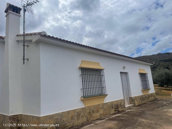 Finca en venta en Alcaucín (Málaga)