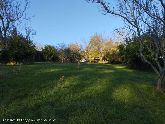 Finca en venta en Cabanas (La Coruña)